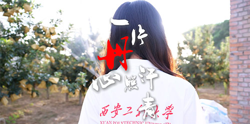 һƬ�����պ��ࡪ�����_��������أ����ഺ�����𰸣�